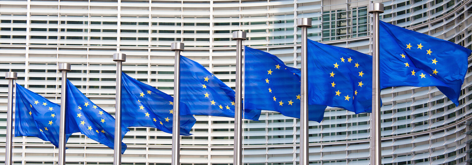 Mehrer Flaggen der europäischen Union