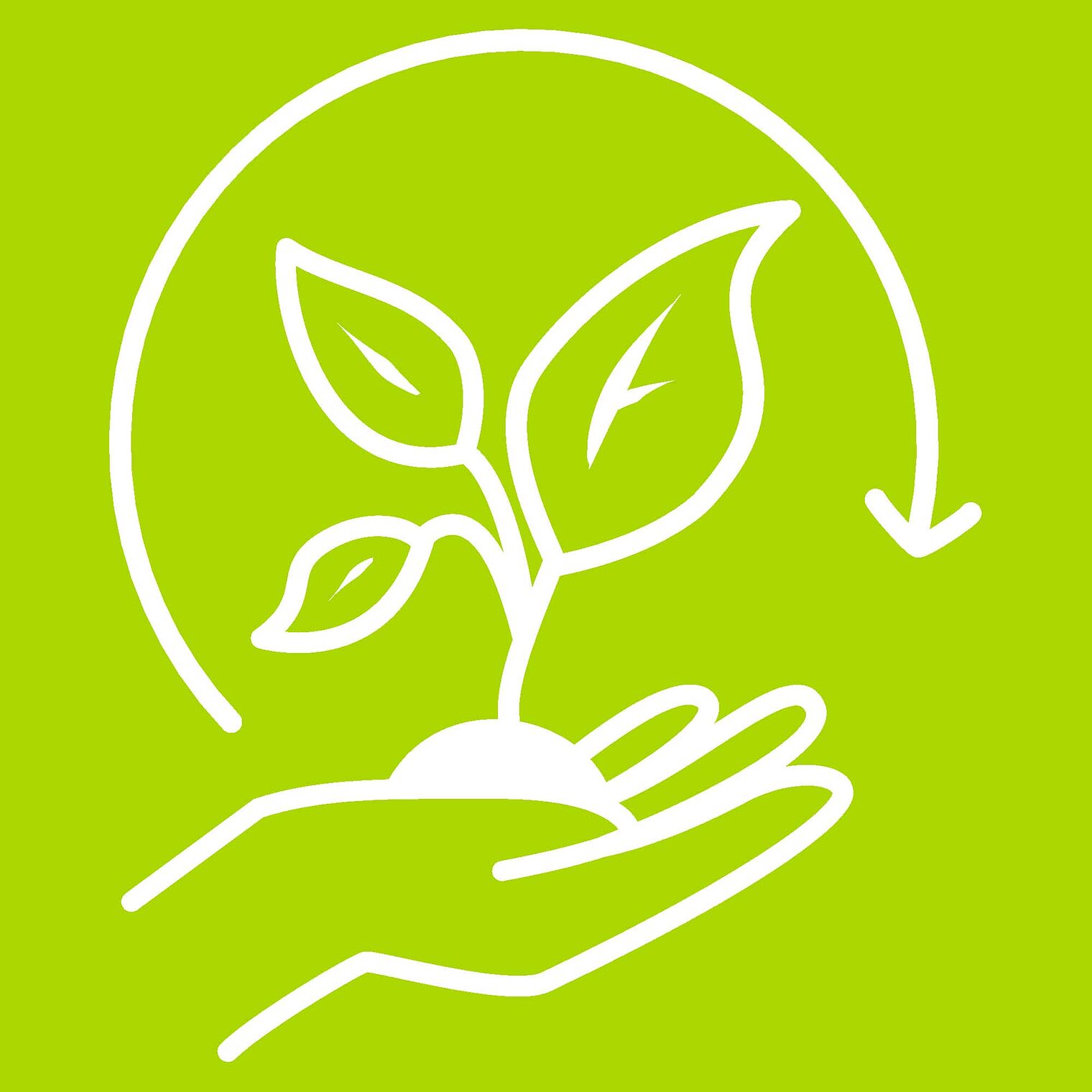 Icon Hand hält Erde, aus der ein kleiner Baum wächst auf grünem Hintergrund